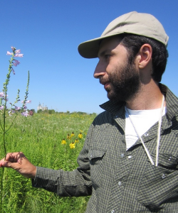 Zaya in prairie field.